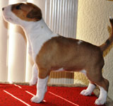 Madison 7 weeks