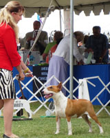 GWTA Long Beach 7 months